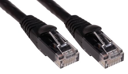 cat 61