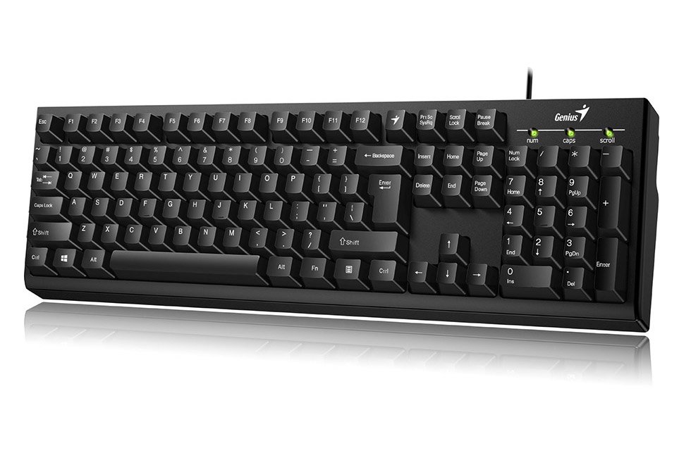 TECLADO GENIUS SMART KB-100 2